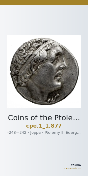 Coins of the Ptolemaic Empire Vol. I, Part 1, no. 877 — CANOA
