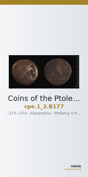 Coins of the Ptolemaic Empire Vol. I, Part II, no. B177 — CANOA