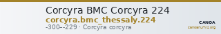 Corcyra BMC Corcyra 224 — CANOA