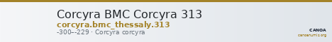 Corcyra BMC Corcyra 313 — CANOA