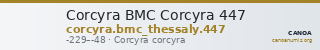 Corcyra BMC Corcyra 447 — CANOA