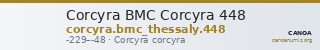 Corcyra BMC Corcyra 448 — CANOA