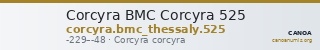 Corcyra BMC Corcyra 525 — CANOA