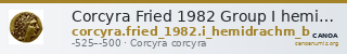 Corcyra Fried 1982 Group I hemidrachm B — CANOA