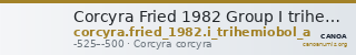 Corcyra Fried 1982 Group I trihemiobol A — CANOA