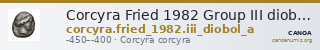 Corcyra Fried 1982 Group III diobol A — CANOA