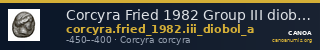 Corcyra Fried 1982 Group III diobol A — CANOA