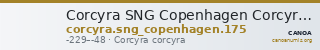 Corcyra SNG Copenhagen Corcyra 175 — CANOA
