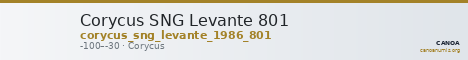 Corycus SNG Levante 801 — CANOA