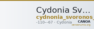 Cydonia Svoronos 1890 (1972) 62-63 — CANOA