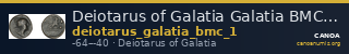 Deiotarus of Galatia Galatia BMC Deiotarus 1 — CANOA