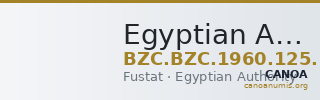 Egyptian Authority — Coin (Uncertain Value) (Fustat) — CANOA