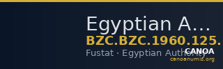 Egyptian Authority — Coin (Uncertain Value) (Fustat) — CANOA