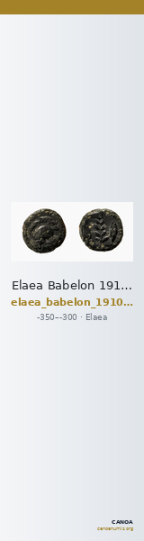 Elaea Babelon 1910 2088 — CANOA