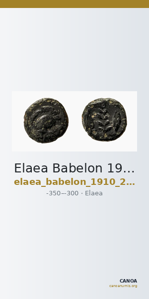 Elaea Babelon 1910 2088 — CANOA