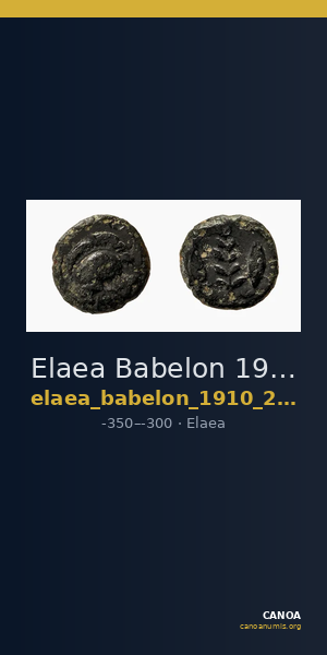Elaea Babelon 1910 2088 — CANOA