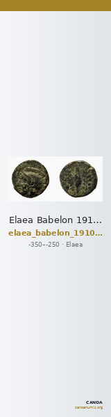 Elaea Babelon 1910 2089 — CANOA