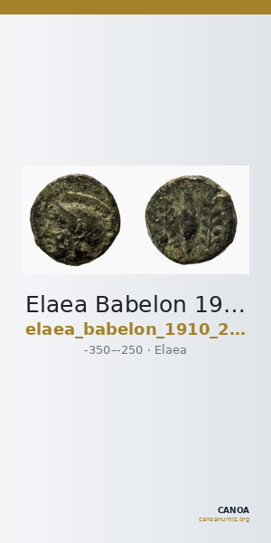 Elaea Babelon 1910 2089 — CANOA
