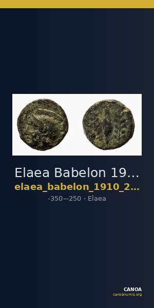 Elaea Babelon 1910 2089 — CANOA