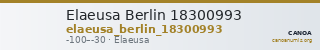 Elaeusa Berlin 18300993 — CANOA