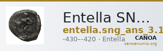 Entella SNG ANS 1339 — CANOA