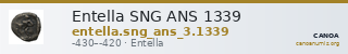 Entella SNG ANS 1339 — CANOA