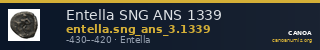 Entella SNG ANS 1339 — CANOA