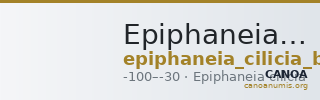 Epiphaneia British Museum 1987.12.11.1 — CANOA