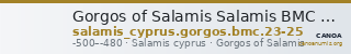 Gorgos of Salamis Salamis BMC Salamis 23-25 — CANOA