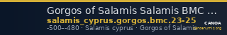 Gorgos of Salamis Salamis BMC Salamis 23-25 — CANOA