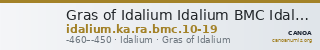 Gras of Idalium Idalium BMC Idalium 10-19 — CANOA