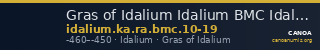 Gras of Idalium Idalium BMC Idalium 10-19 — CANOA