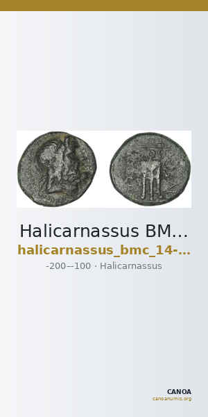 Halicarnassus BMC Halicarnassus 14-17 — CANOA