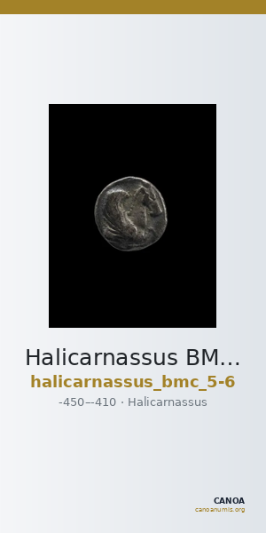 Halicarnassus BMC Halicarnassus 5-6 — CANOA