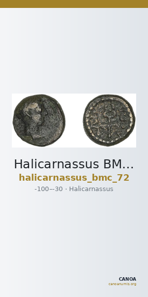 Halicarnassus BMC Halicarnassus 72 — CANOA