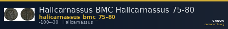 Halicarnassus BMC Halicarnassus 75-80 — CANOA