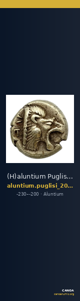 (H)aluntium Puglisi 2009 61 — CANOA