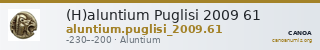 (H)aluntium Puglisi 2009 61 — CANOA