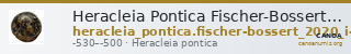 Heracleia Pontica Fischer-Bossert 2020 I-II — CANOA