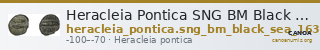 Heracleia Pontica SNG BM Black Sea 1639 — CANOA