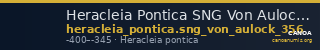 Heracleia Pontica SNG Von Aulock 356 — CANOA