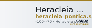 Heracleia Pontica Stancomb 2009 Type 11a — CANOA
