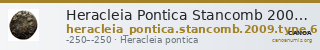 Heracleia Pontica Stancomb 2009 Type 6 — CANOA