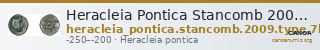 Heracleia Pontica Stancomb 2009 Type 7b — CANOA