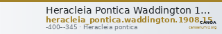 Heracleia Pontica Waddington 1908 15 — CANOA