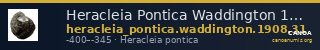 Heracleia Pontica Waddington 1908 31 — CANOA