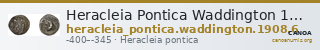 Heracleia Pontica Waddington 1908 6 — CANOA
