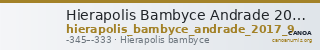 Hierapolis Bambyce Andrade 2017 Series 9 — CANOA