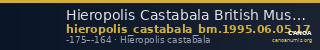 Hieropolis Castabala British Museum 1995.06.05.17 — CANOA