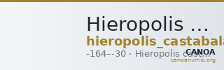 Hieropolis Castabala Robert 1964 6a — CANOA